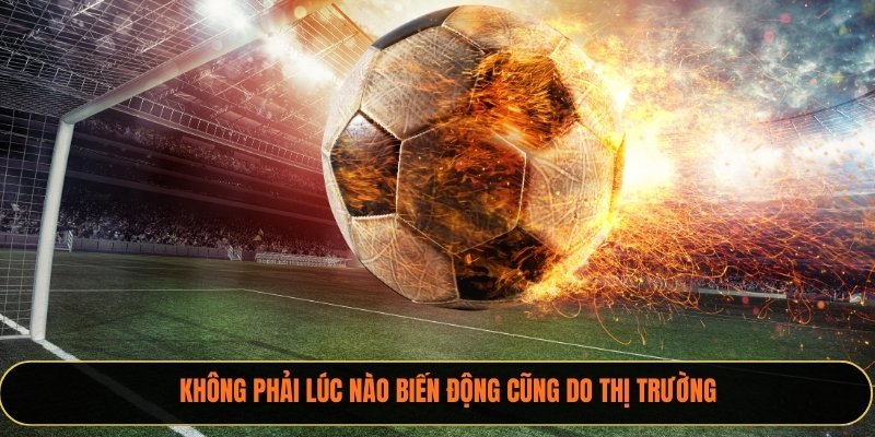 Không phải lúc nào biến động cũng do thị trường