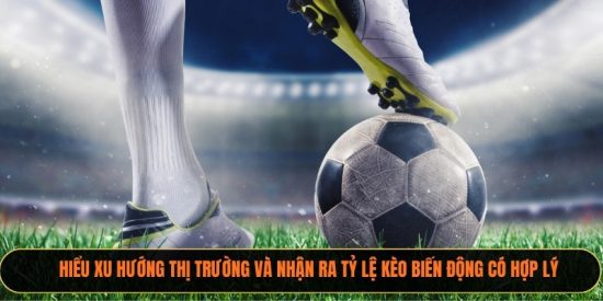 Hiểu xu hướng thị trường và nhận ra tỷ lệ kèo biến động có hợp lý