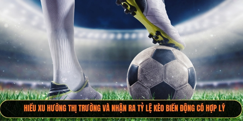Hiểu xu hướng thị trường và nhận ra tỷ lệ kèo biến động có hợp lý