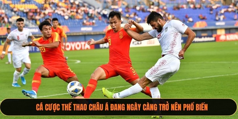 Cá cược thể thao châu Á đang ngày càng trở nên phổ biến