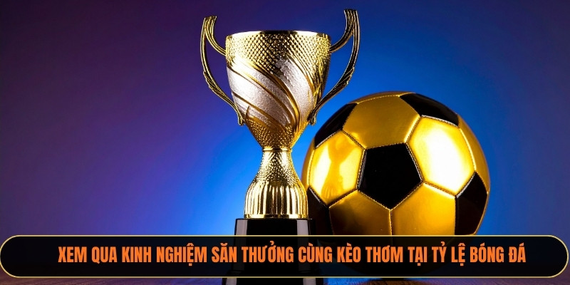 Xem qua kinh nghiệm săn thưởng cùng kèo thơm tại xoilactv