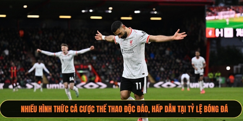 Nhiều hình thức cá cược thể thao độc đáo, hấp dẫn tại xoilactv