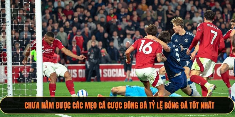 Chưa nắm được các mẹo cá cược bóng đá xoilactv tốt nhất 