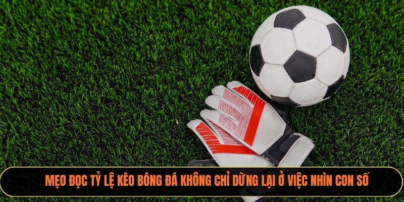Mẹo đọc tỷ lệ kèo bóng đá không chỉ dừng lại ở việc nhìn con số