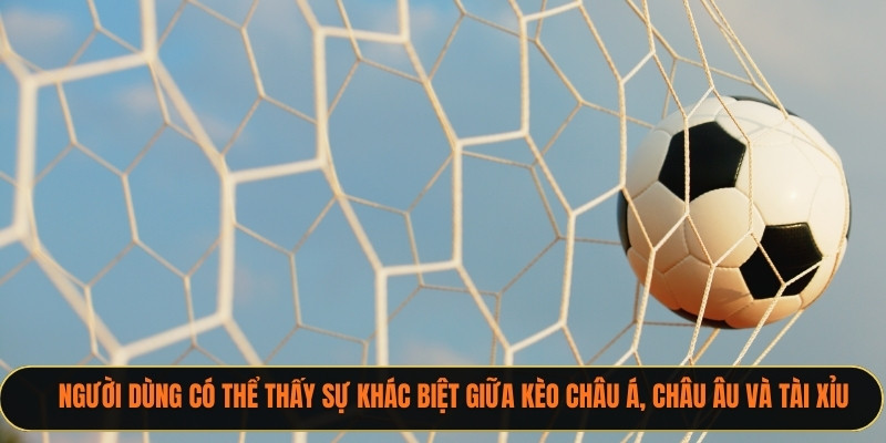 Người dùng có thể thấy sự khác biệt giữa kèo châu Á, châu Âu và tài xỉu