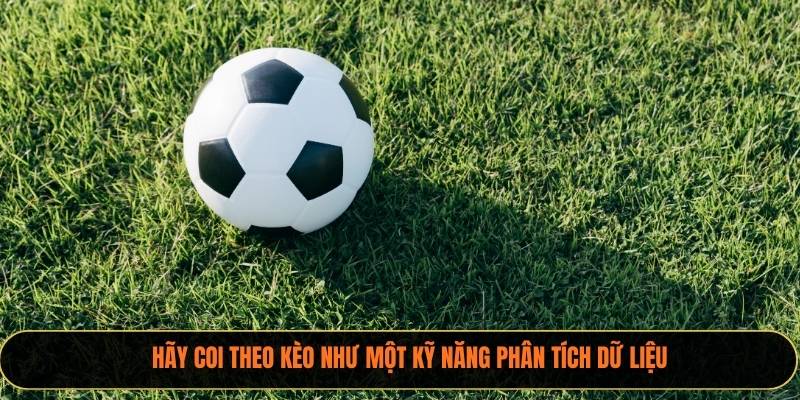 Hãy coi theo kèo như một kỹ năng phân tích dữ liệu