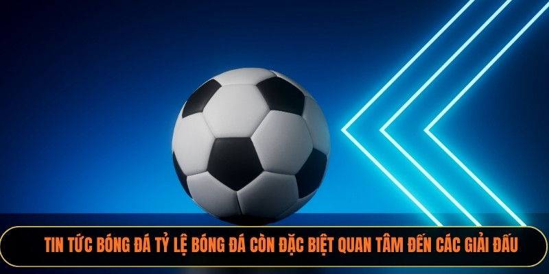 Tin tức bóng đá Xoilactv còn đặc biệt quan tâm đến các giải đấu