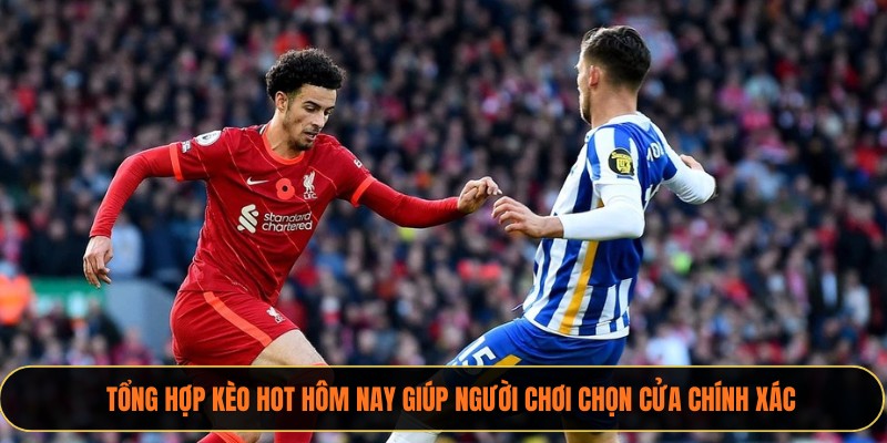 Tổng hợp kèo HOT hôm nay giúp người chơi chọn cửa chính xác