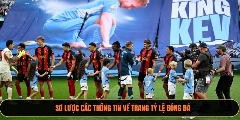 Sơ lược các thông tin về trang xoilactv