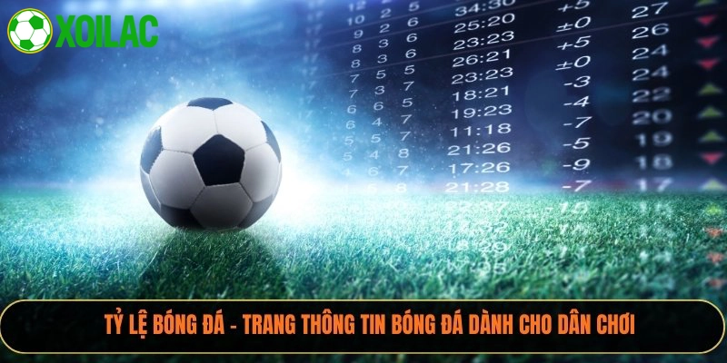Xoilactv là điểm đến quen thuộc của dân soi kèo chuyên nghiệp