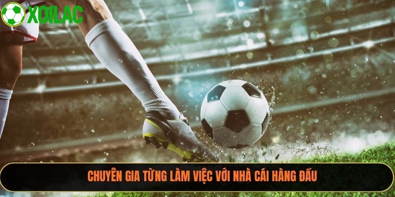 Chuyên gia từng làm việc với nhà cái hàng đầu