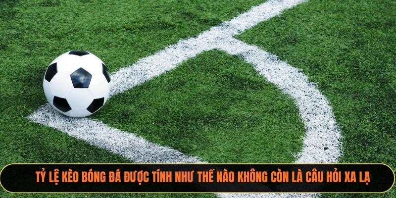 Tỷ lệ kèo bóng đá được tính như thế nào không còn là câu hỏi xa lạ