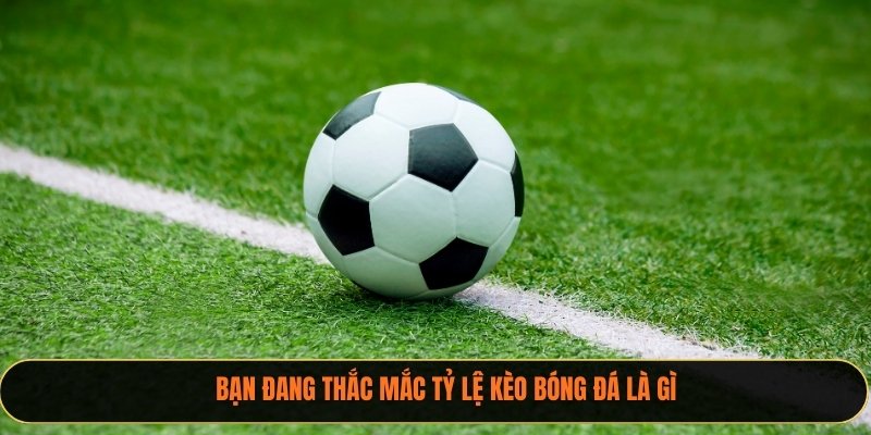 Bạn đang thắc mắc tỷ lệ kèo bóng đá là gì