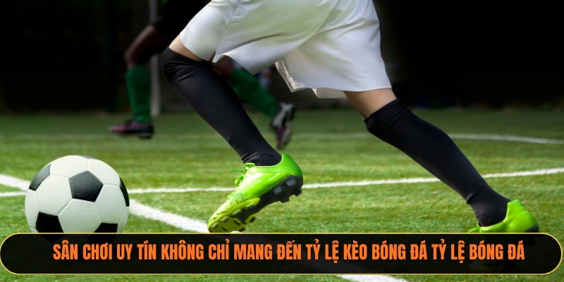 Sân chơi uy tín không chỉ mang đến tỷ lệ kèo bóng đá Tỷ Lệ Bóng Đá