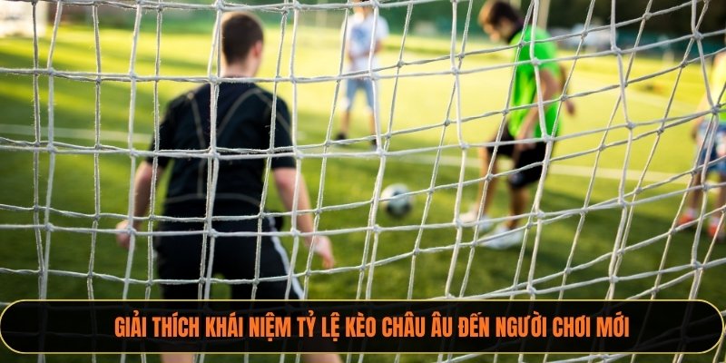 Giải thích khái niệm tỷ lệ Kèo Châu Âu đến người chơi mới