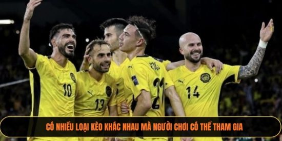 Có nhiều loại kèo khác nhau mà người chơi có thể tham gia