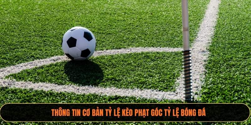 Thông tin cơ bản tỷ lệ kèo phạt góc xoilactv