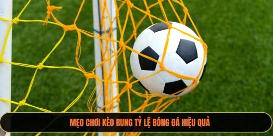 Mẹo chơi kèo rung xoilactv hiệu quả