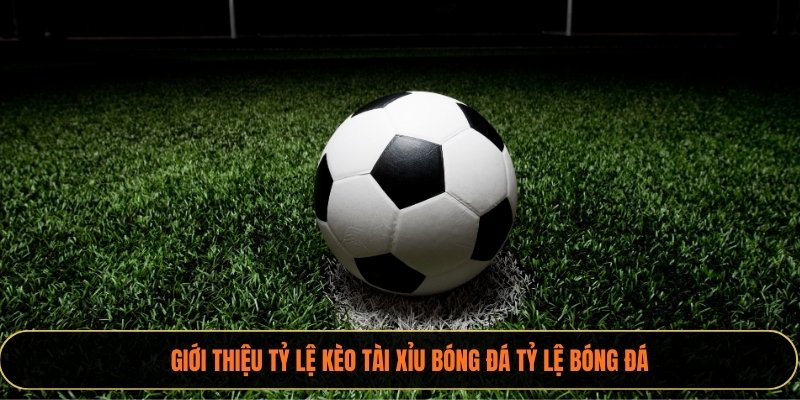 Giới thiệu tỷ lệ kèo tài xỉu bóng đá xoilactv