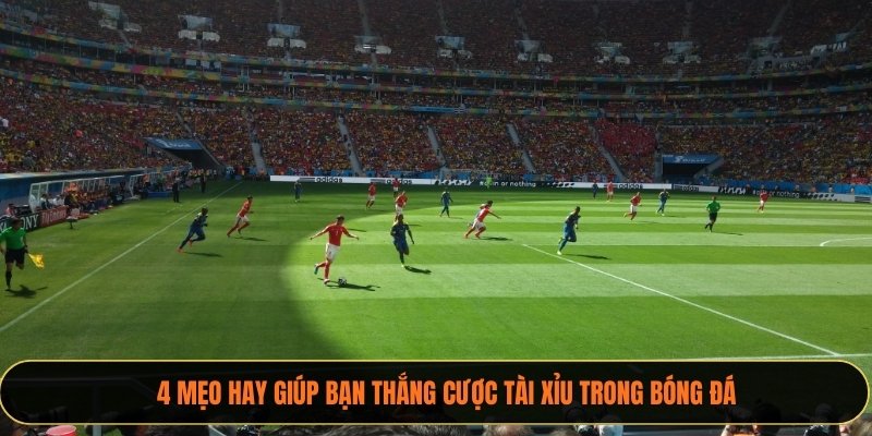 4 mẹo hay giúp bạn thắng cược tài xỉu trong bóng đá