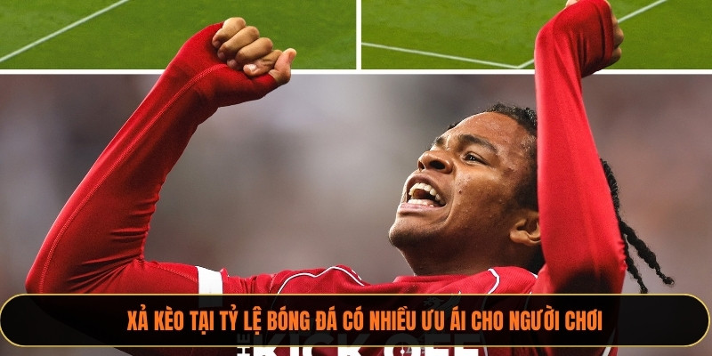 Xả kèo tại xoilactv có nhiều ưu ái cho người chơi
